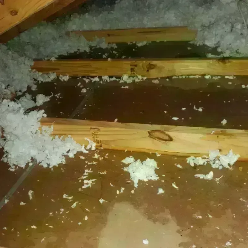 Attic Water Damage in Centralia, IL