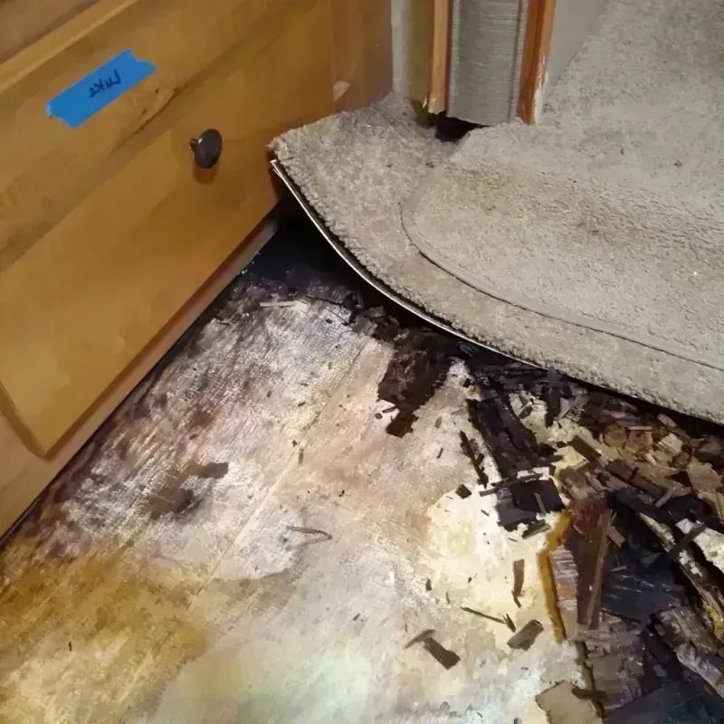 Wood Floor Water Damage in Centralia, IL